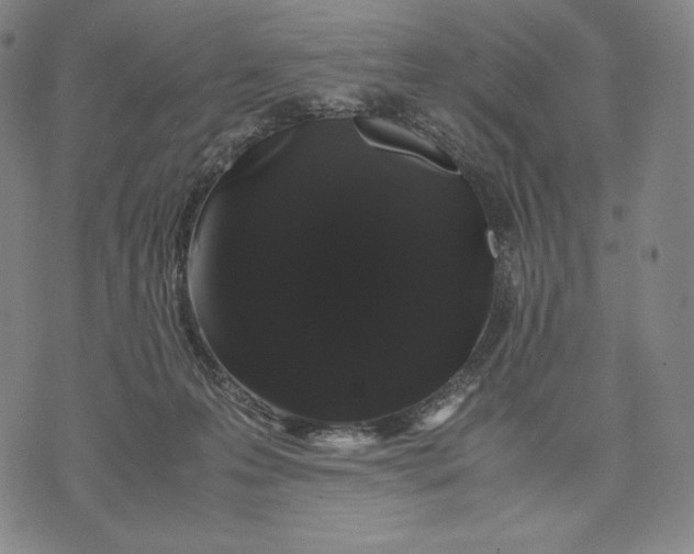 X0000071900223200607281811