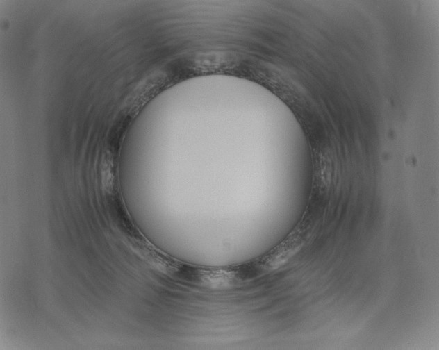 X0000071900226200607281811