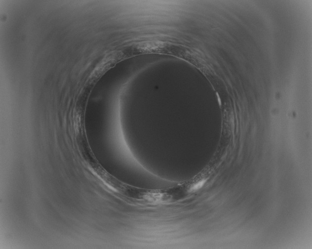 X0000071900227200607281811