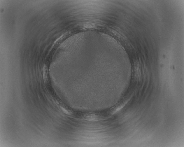 X0000071900228200607281811