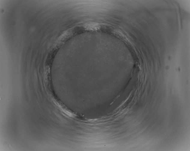 X0000071900229200607281811