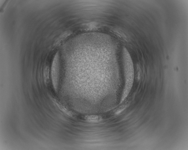 X0000071900230200607281811