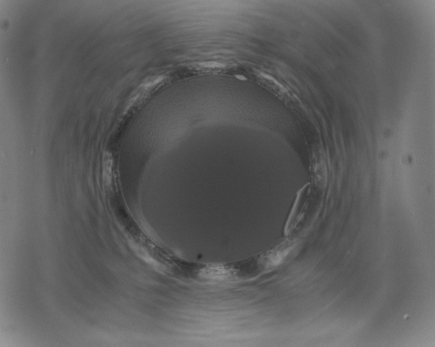 X0000071900231200607281811