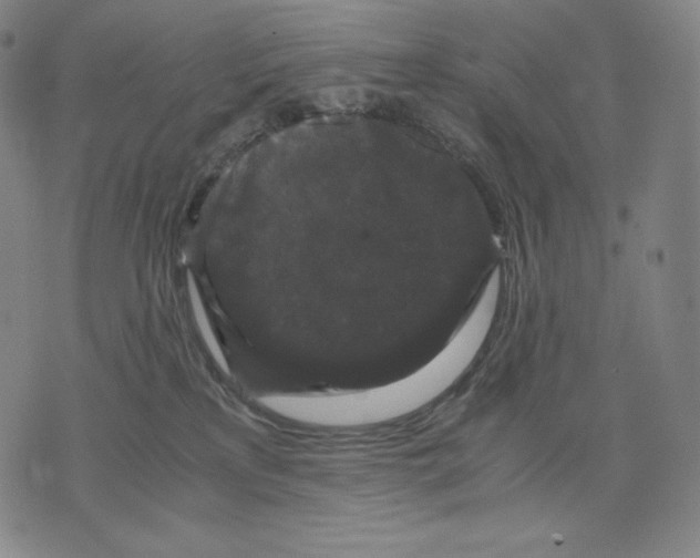 X0000071900233200607281811