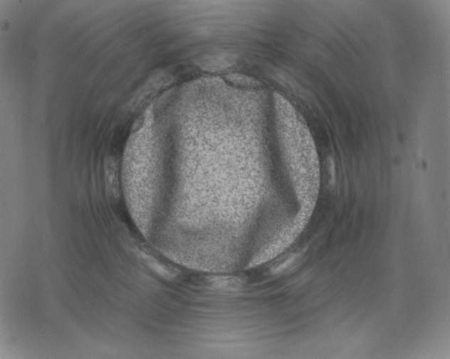 X0000071900234200607281811