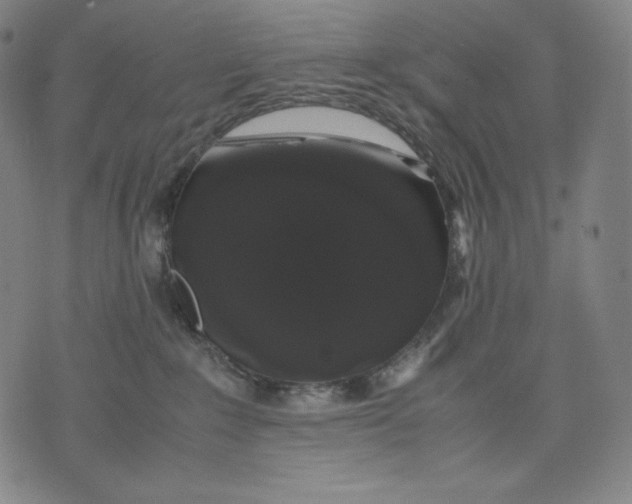 X0000071900235200607281811