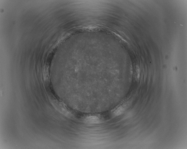 X0000071900236200607281811