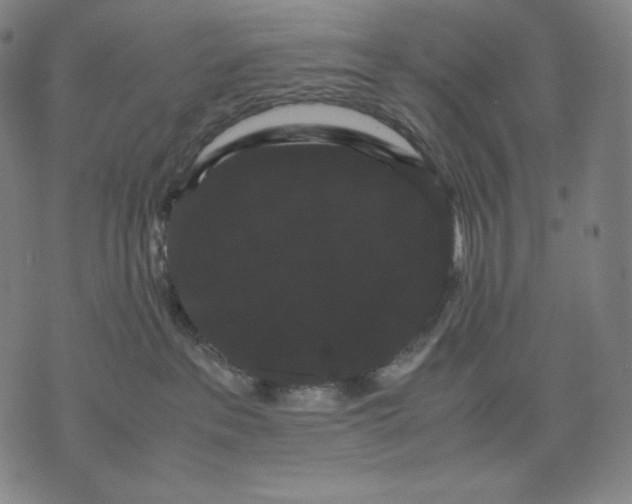 X0000071900237200607281811