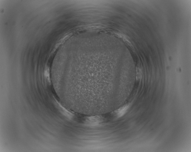 X0000071900238200607281811