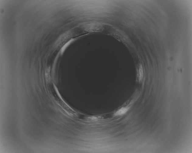 X0000071900239200607281811