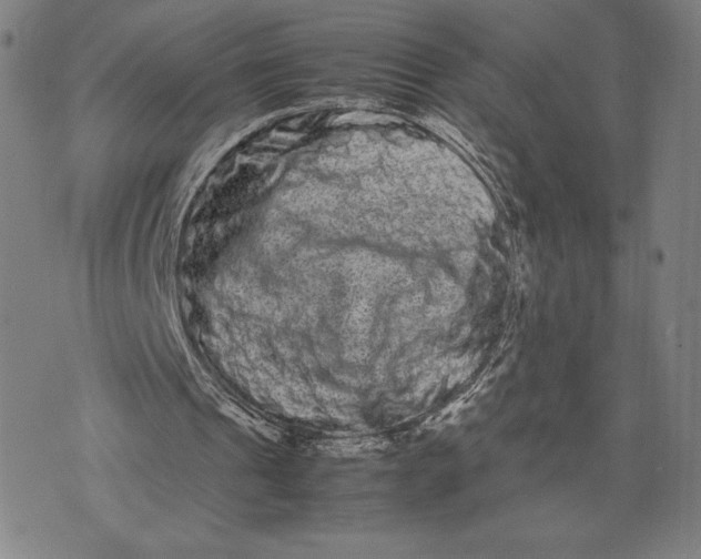 X0000071900241200607281810