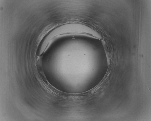 X0000071900242200607281810