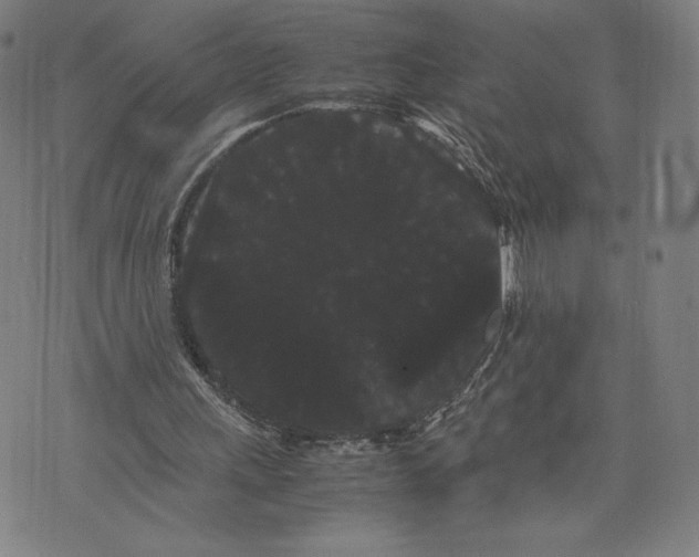 X0000071900243200607281810