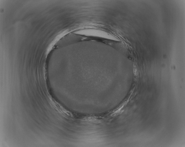 X0000071900244200607281810