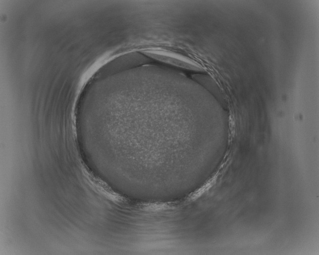 X0000071900246200607281810