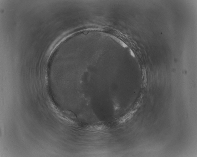 X0000071900247200607281810