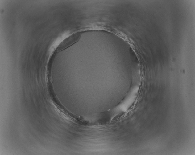 X0000071900248200607281810