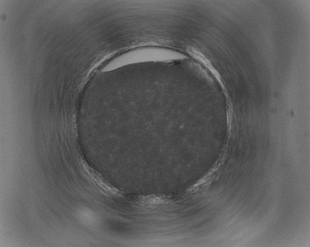 X0000071900249200607281810