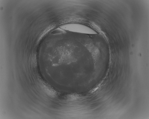 X0000071900250200607281810