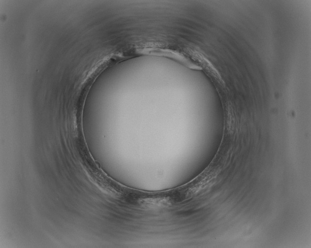 X0000071900251200607281810