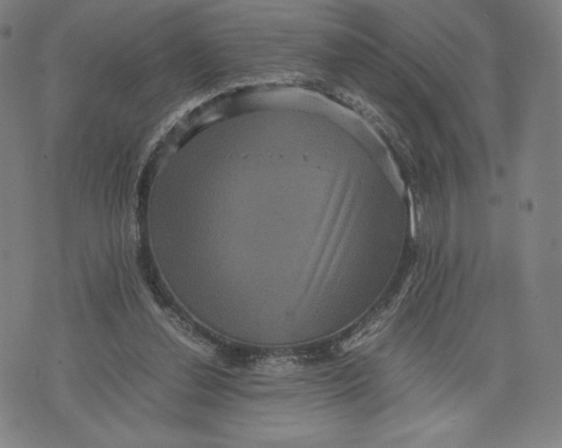 X0000071900252200607281810