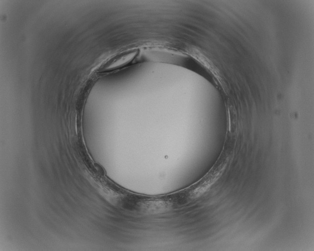 X0000071900253200607281810