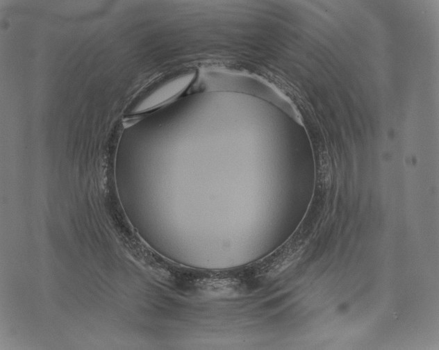 X0000071900255200607281810