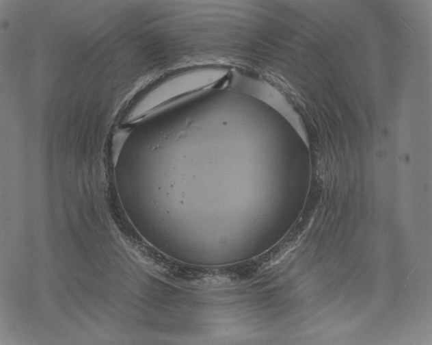 X0000071900256200607281810