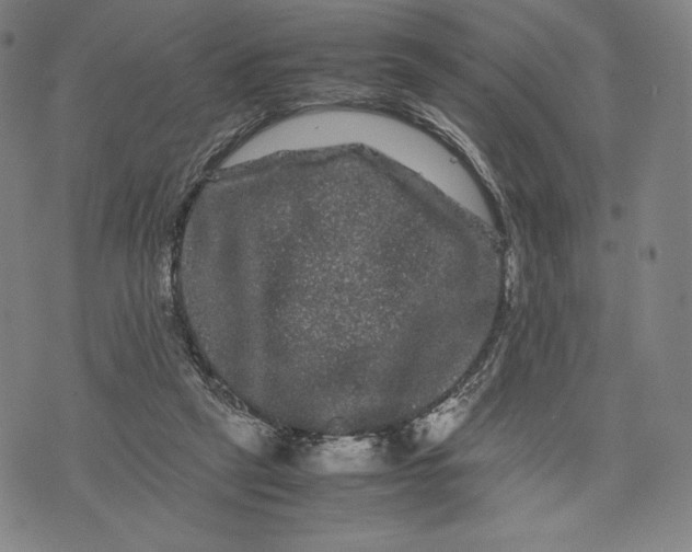 X0000071900257200607281810