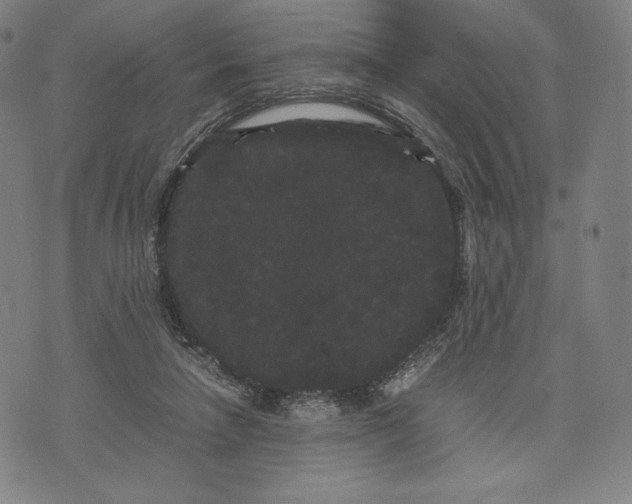 X0000071900258200607281810