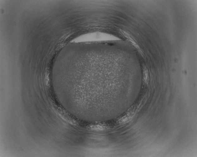 X0000071900259200607281810