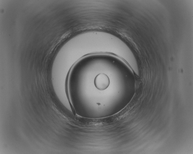 X0000071900260200607281810