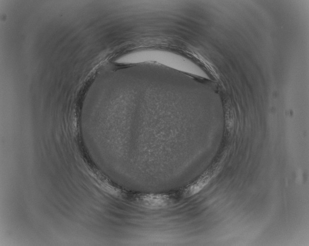 X0000071900261200607281811