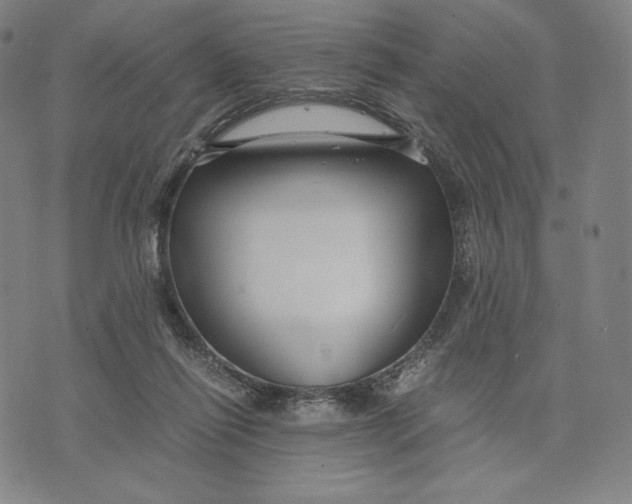 X0000071900262200607281811