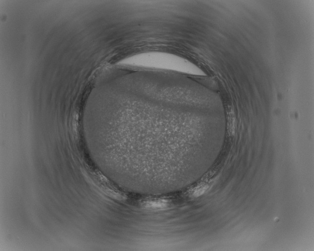 X0000071900263200607281811