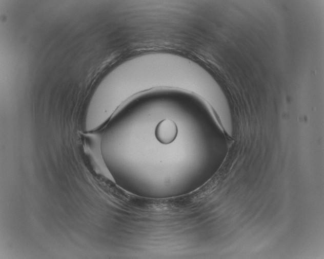 X0000071900264200607281811