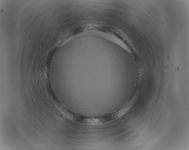 X0000071900265200607281811