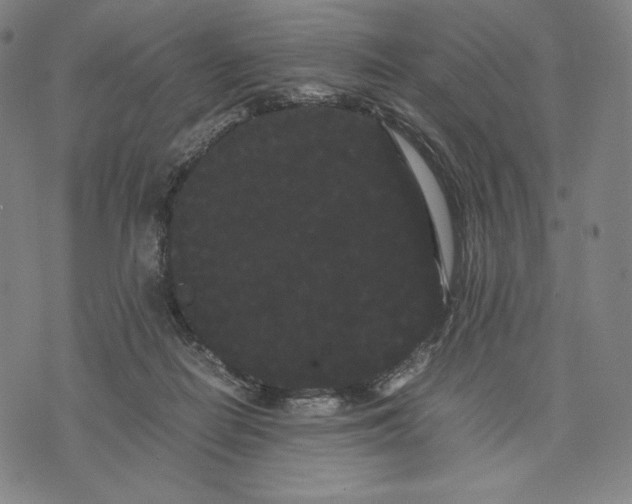 X0000071900266200607281811