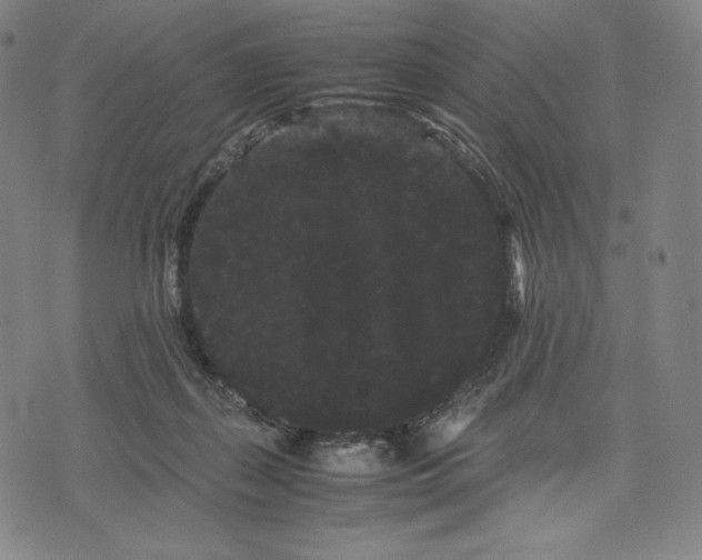 X0000071900267200607281811