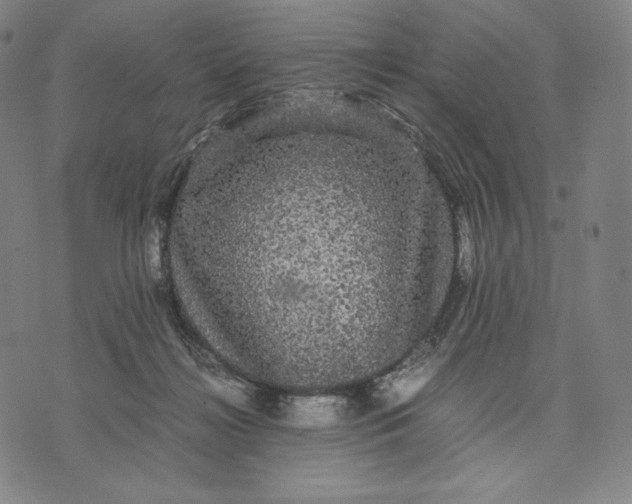 X0000071900268200607281811