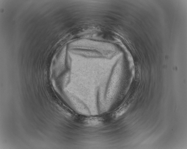 X0000071900269200607281811