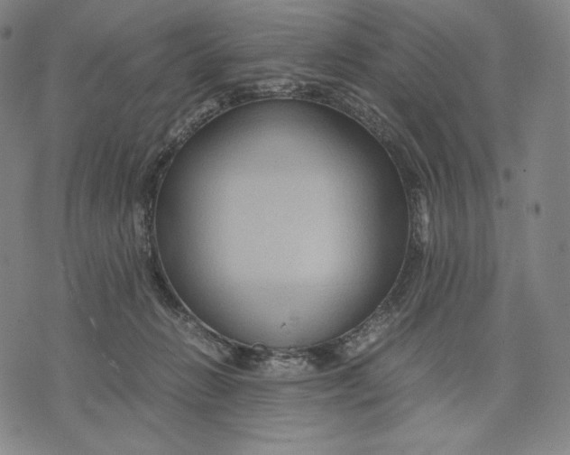 X0000071900270200607281811