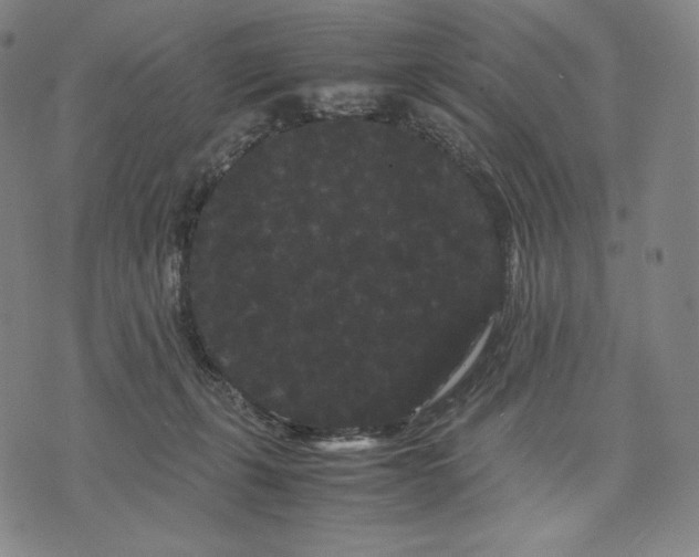 X0000071900271200607281811