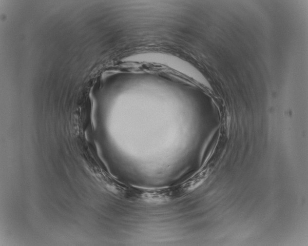 X0000071900272200607281811