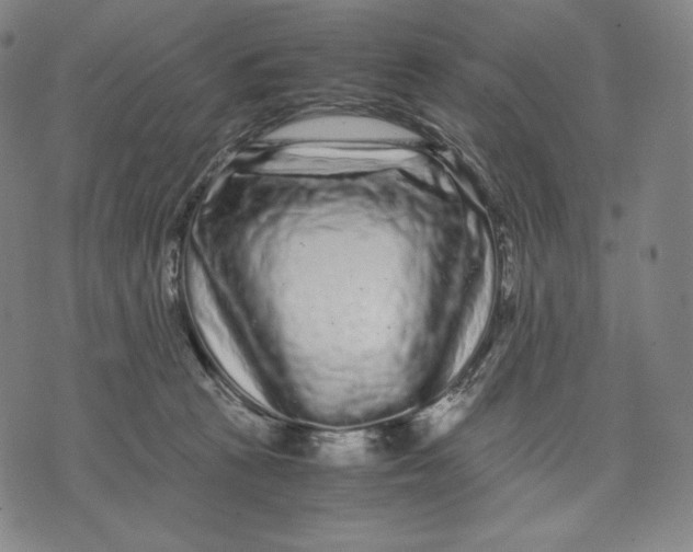 X0000071900273200607281811