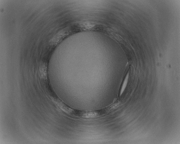 X0000071900274200607281811