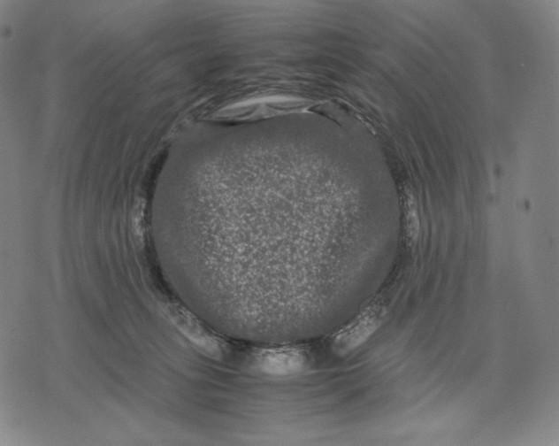 X0000071900275200607281811