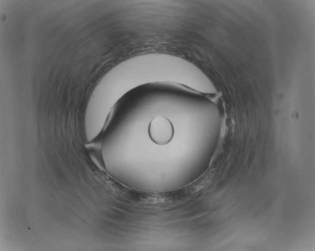 X0000071900276200607281811