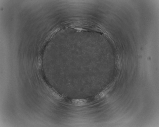 X0000071900277200607281811