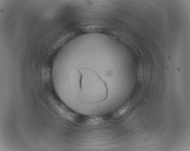 X0000071900278200607281811